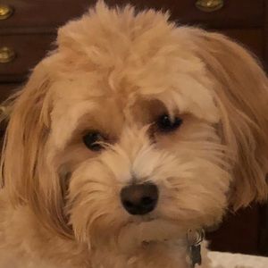 Meet your Posher, Theda